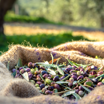 Produits biologiques